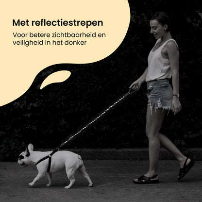 All 4 Pets Supply® Reflecterende Hondenriem - 1,5 meter - Zwart