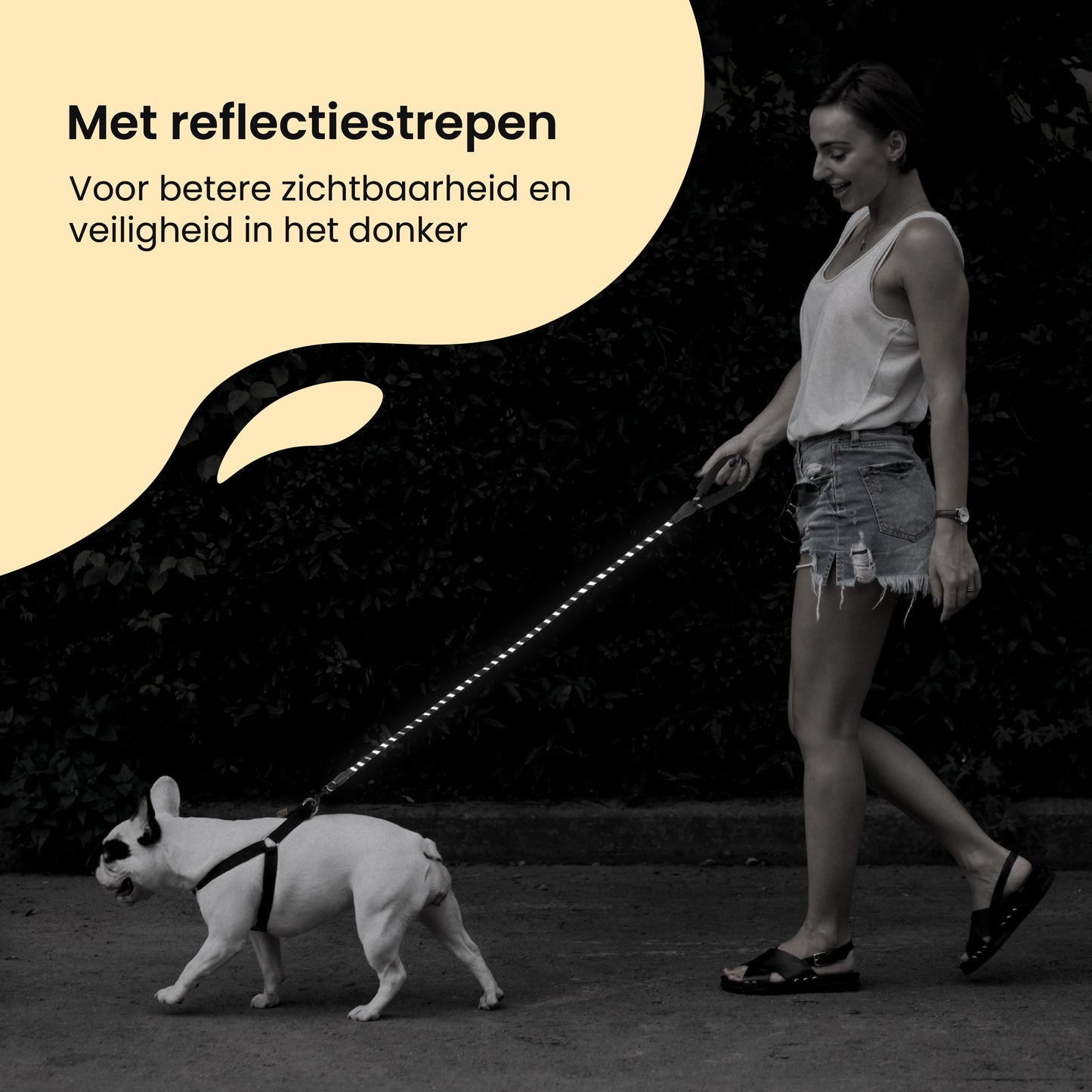 All 4 Pets Supply® Reflecterende Hondenriem - 3 meter - Zwart