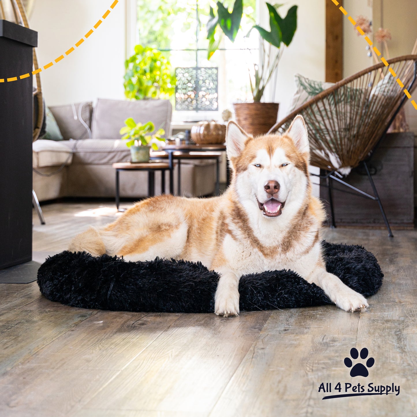 All 4 Pets Supply® Hondenmand Donut - Maat XL - Geschikt Voor Honden Tot 80 cm